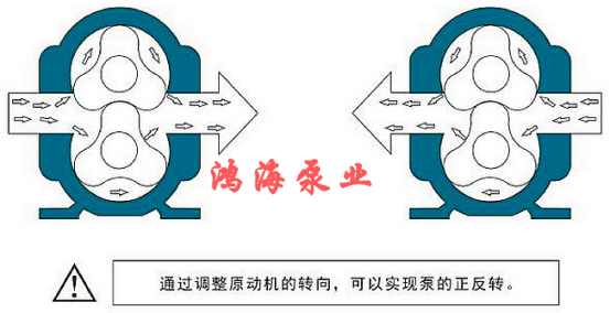 泊头市鸿海泵业HTLB凸轮转子泵 / 无堵塞排污泵 / 高粘度转子泵